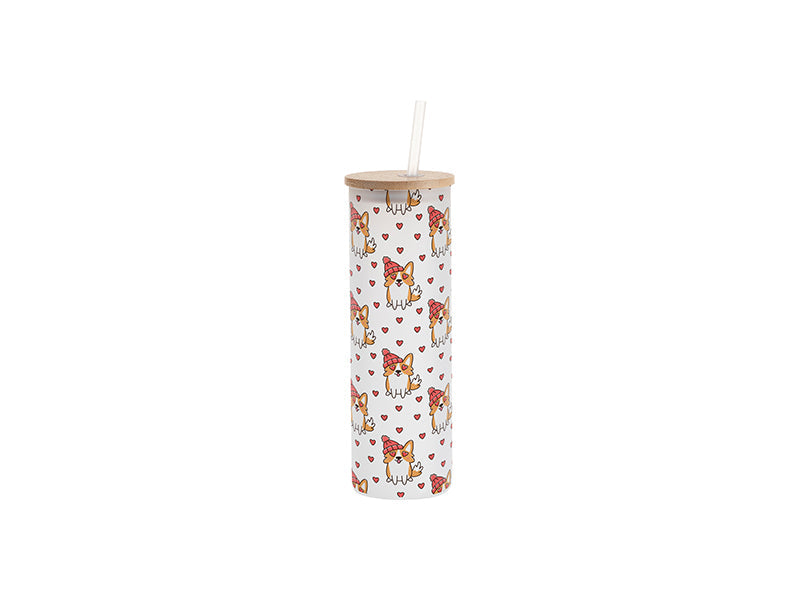 Craft Express 6-Pack 20oz Frosted Glass Skinny Tumbler w/Straw & Bamboo Lid - Craft Express Canada